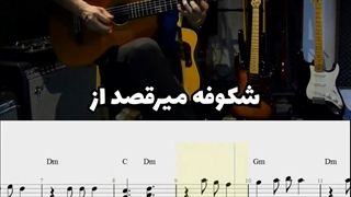 اجرای آهنگ شکوفه ها ( شکوفه میرقصد) از ویگن