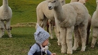 گردش علمی جانوران