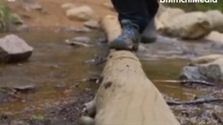 پشت پرده صنعت پورن