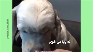 والا ما که حسود نیستیم