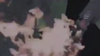 [¢คrēfrēē ēงērฯthiຖງ]