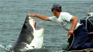 INCREDIBLE SHARK ATTACK INCREDIBILE ATTACCO SQUALI