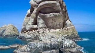 کلیپ زیبا از طبیعت