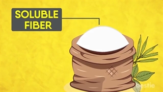 صمغ گوار و فواید آن برای سلامتی