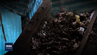 در محاصره زباله‌ها