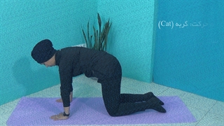 رفع گودی کمر با حرکت گربه پیلاتس