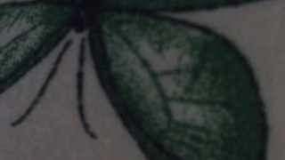 پلنر شهریور / یکتا جون/تقدیم به آرش جون