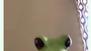 شاید برای شما هم اتفاق افتاده باشد ایح ایح