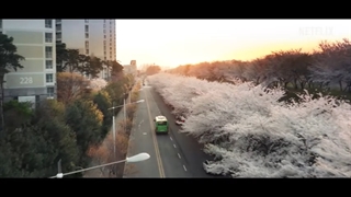 تیزر آلارم عشق 2