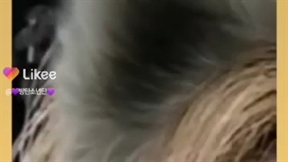 چه جوری ثابت کنم این بشر گربه هست