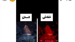 دنیا از دید بقیه..