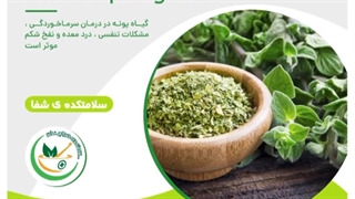 خواص گیاه پونه رفع افتادگی پلک