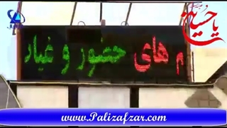 پالیزافزار