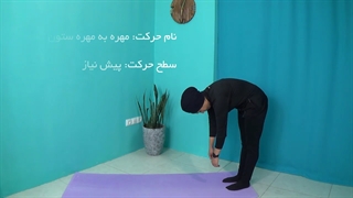 حرکتی برای انعطاف پذیری