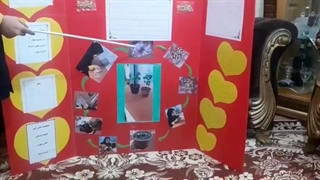 لوبیای سحرآمیز