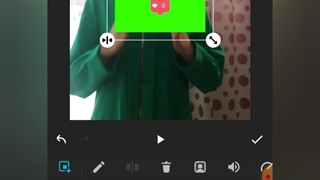 حذف پرده سبز با اینشات و کاین مستر
