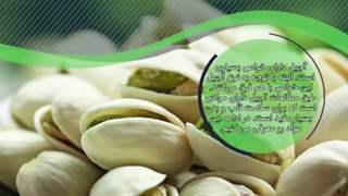 آجیل