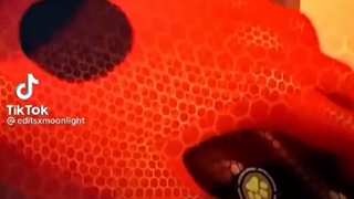 ویدیو لیدی باگ و کت نوار کوتاه