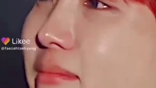 گریه چیهوپ و شوگا