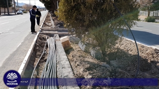 نورپردازی درختان بلوار شهدای عبادی بیرجند