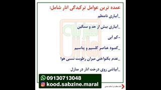 جلو گیری از ترکیدگی انار_مشاوره ی واتساپ09130713048_سبزینه مارال یزد