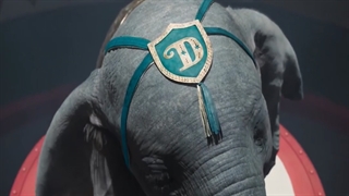 پر پرواز _ وحید کریمی