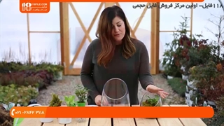 آموزش ساخت تراریوم-آموزش ساخت تراریوم فانتزی