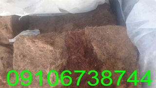 فروش کوکوپیت سریلانکا