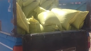 ارسال سیاه دانه توسط مجموعه داپیدو برای مشهد