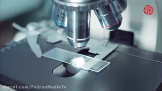 نقش جیوه در قتل امام حسن علیه السلام