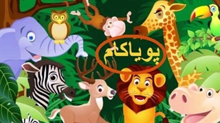 قصه شب - 23