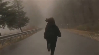 زندگی تاریک + کپ