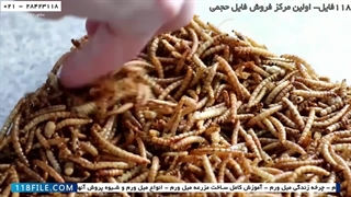 آموزش پرورش کرم میل ورم-آموزش پرورش میل ورم صنعتی-خشک کردن میل ورم درخانه