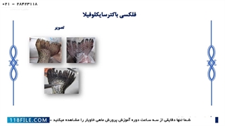 آموزش پرورش ماهی خاویار-انواع ماهی خاویار-اصول بهداشتی و درمان بیماری های رایج