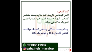 بهترین کودها برای رشد انفجاری_مشاوره واتساپ09138511997_سبزینه مارال یزد