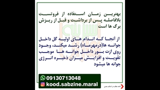 بهترین زمان مصرف فروتست_مشاوره واتساپ09130713048_سبزینه مارال یزد