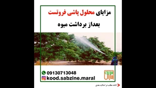 مزایای محلول پاشی فروتست بعداز برداشت میوه_مشاوره واتساپ09130713048_سبزینه مارال یزد
