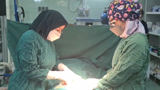 موضوع : جراحی لوله های رحم