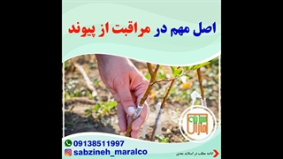 اصل مهم در مراقبت از پیوند_مشاوره ی واتساپ09138511997_سبزینه مارال یزد