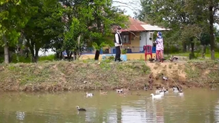 دانلود کامل فیلم عباس‌ خوان _ دانلود فیلم عباس‌ خوان با همه کیفیت ها