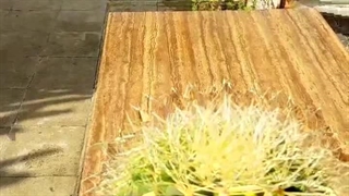 اچینو تیغ سفید به زیر اسمان آبی