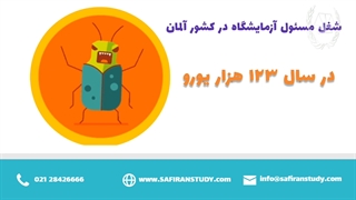 آنچه در مورد کار در المان باید دانست 2