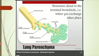 مقدمات بیماری های تنفس جلسه 10