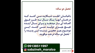 دلایل میوه ندادن درختان_مشاوره واتساپ 09138511997_سبزینه مارال یزد