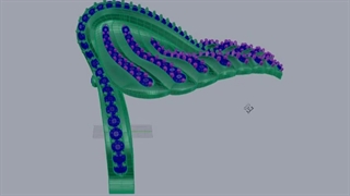 فیلم آموزش طراحی جواهرات