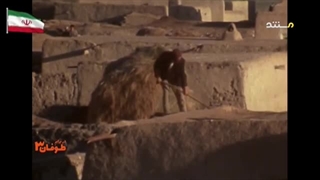 مشکلات اصلاحات ارضی شاه برای روستائیان و رواج حاشیه نشینی