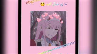 مارو دنبال کنید 