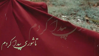 دانلود آهنگ ز جهان دل برکندم تا شوری پیدا کردم  از دیجی فلیکس