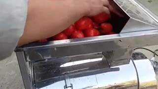 آب گوجه گیری 09307888583