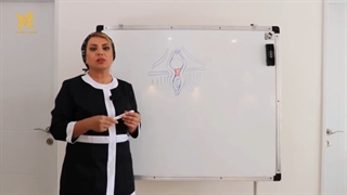 پرینورافی پارت اول